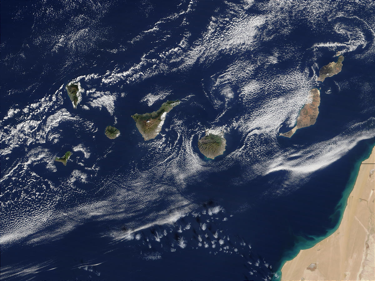 Microsatellite Programme