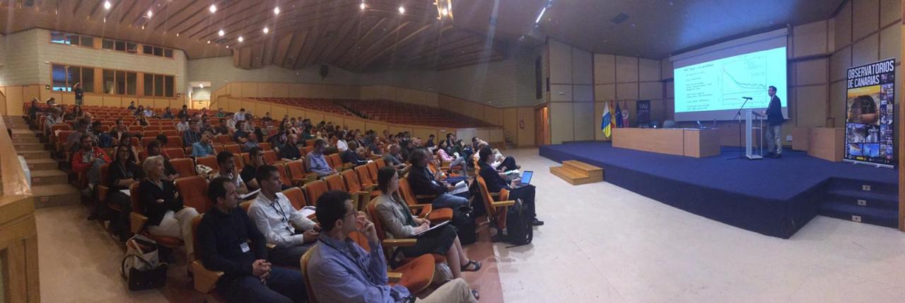 IAU Symposium 355 attendees