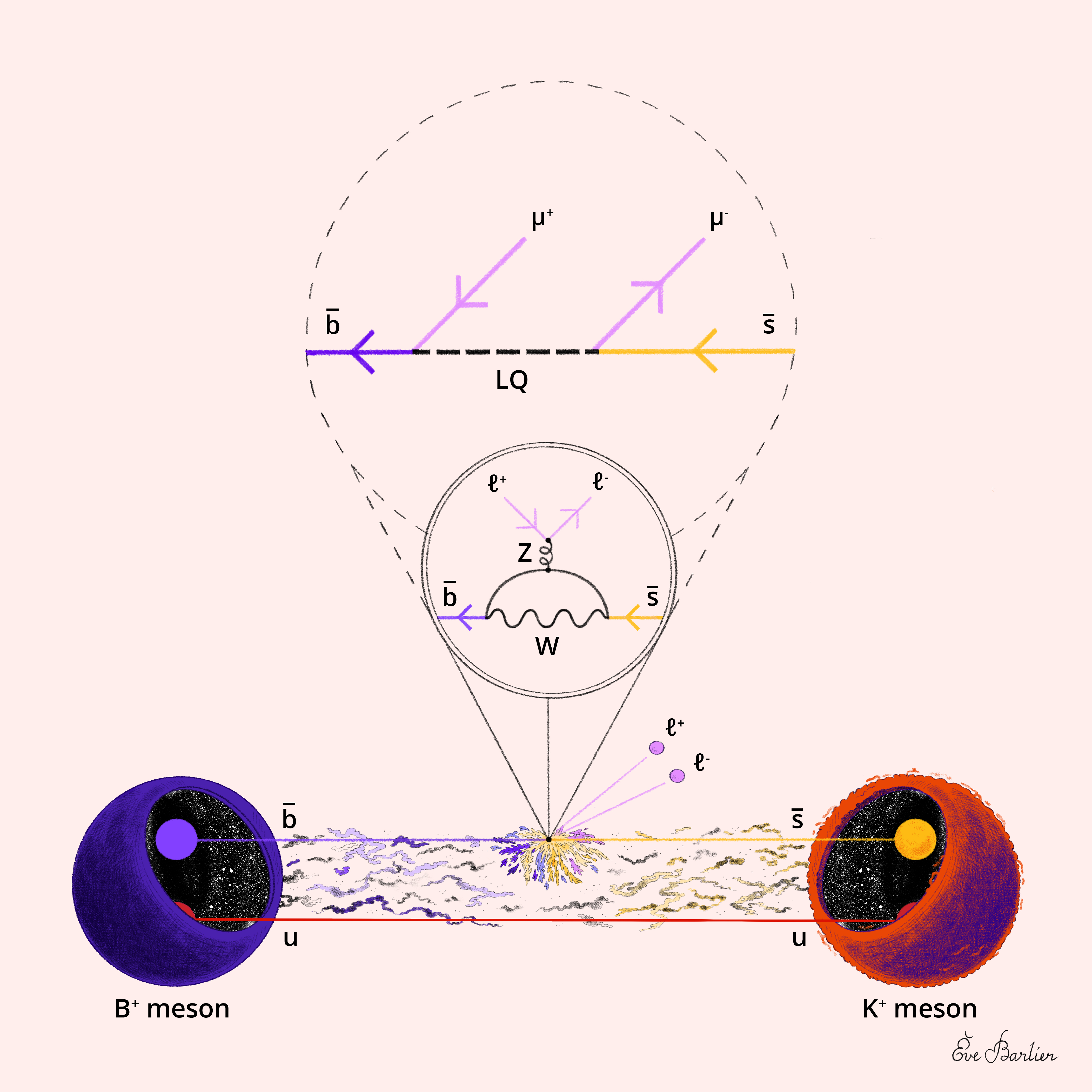 Eve Bphysics