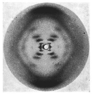 La famosa foto 51 que dio a Watson y Crick las claves para terminar su modelo de la molécula de ADN. Crédito: King's College London. 