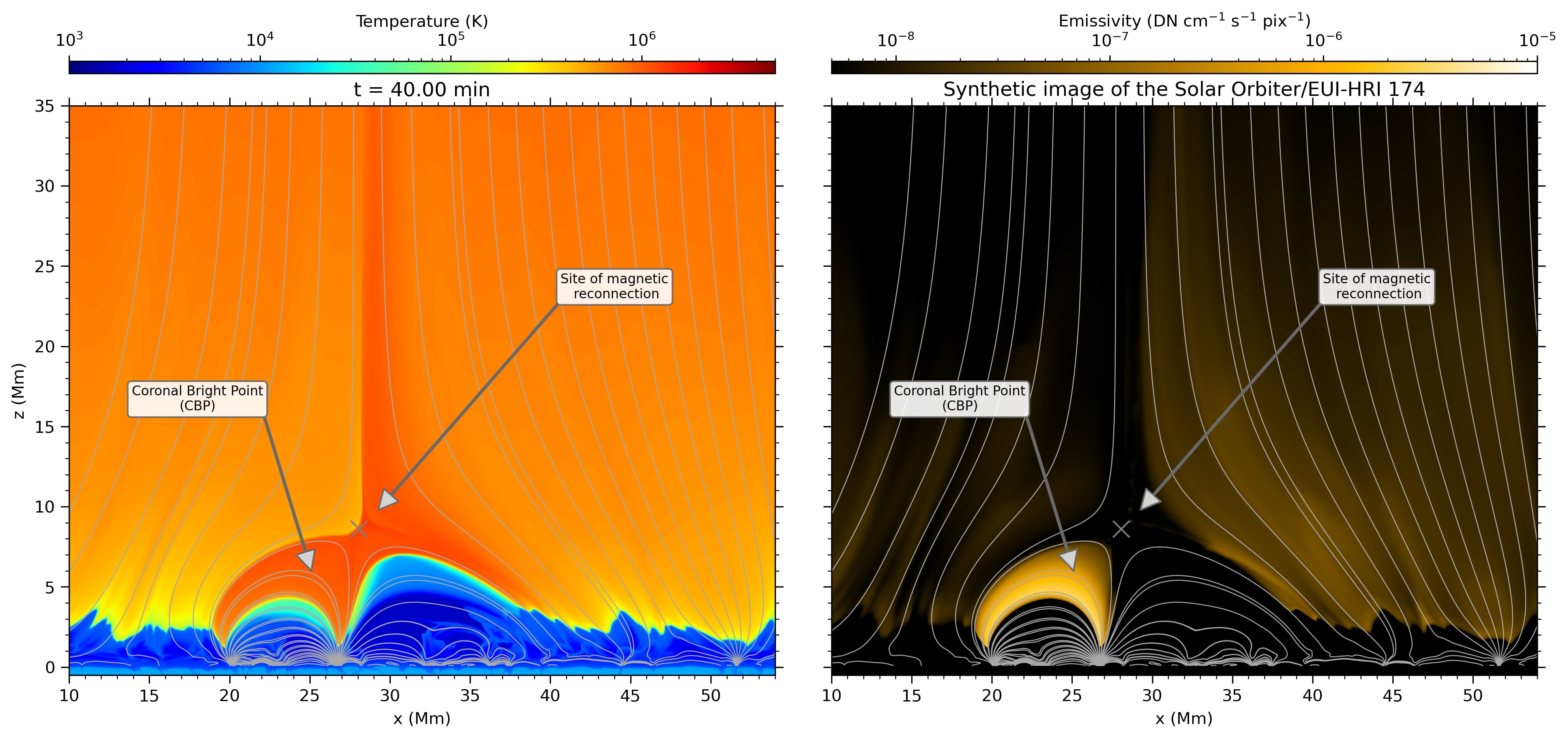 Resultados del reciente modelo 2D de CBPs de Nóbrega-Siverio y Moreno-Insertis (2022). Izquierda: Temperatura. Derecha: Imagen que muestra cómo se vería la simulación desde el espacio si se observara con la misión Solar Orbiter en el extremo ultravioleta. El CBP se distingue por la estructura de arcos magnético s calientes que aparece brillante en el panel derecho.