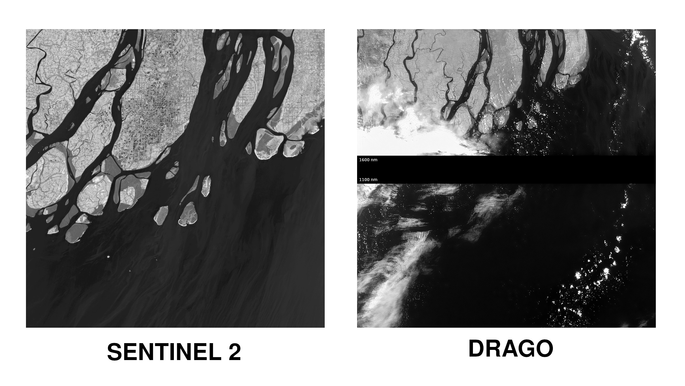 Sentinel Vs Drago