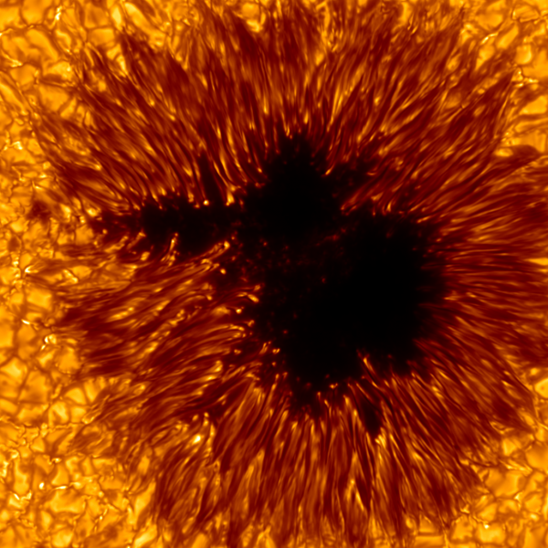 Sol