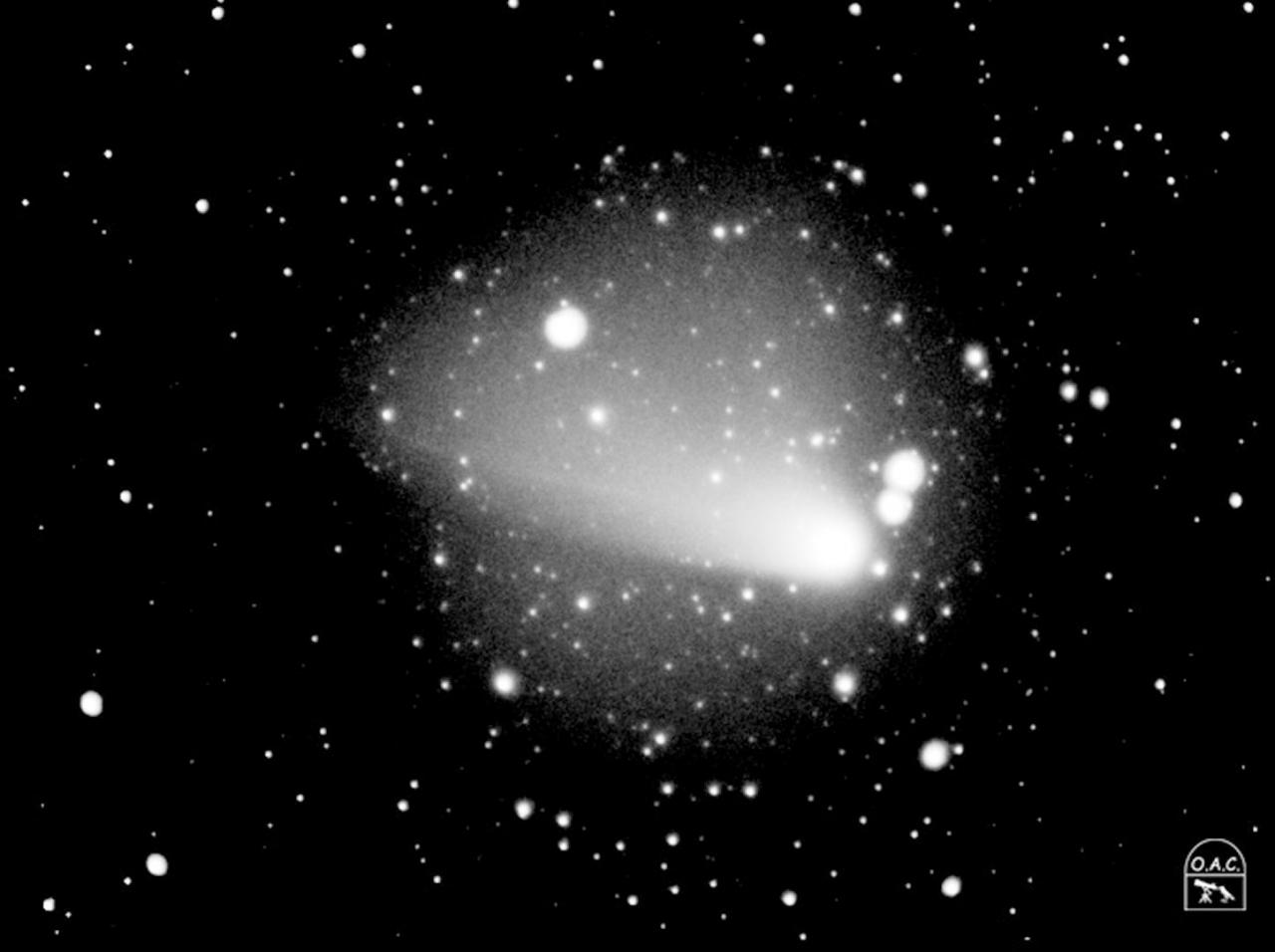 Cometa Q4 NEAT
