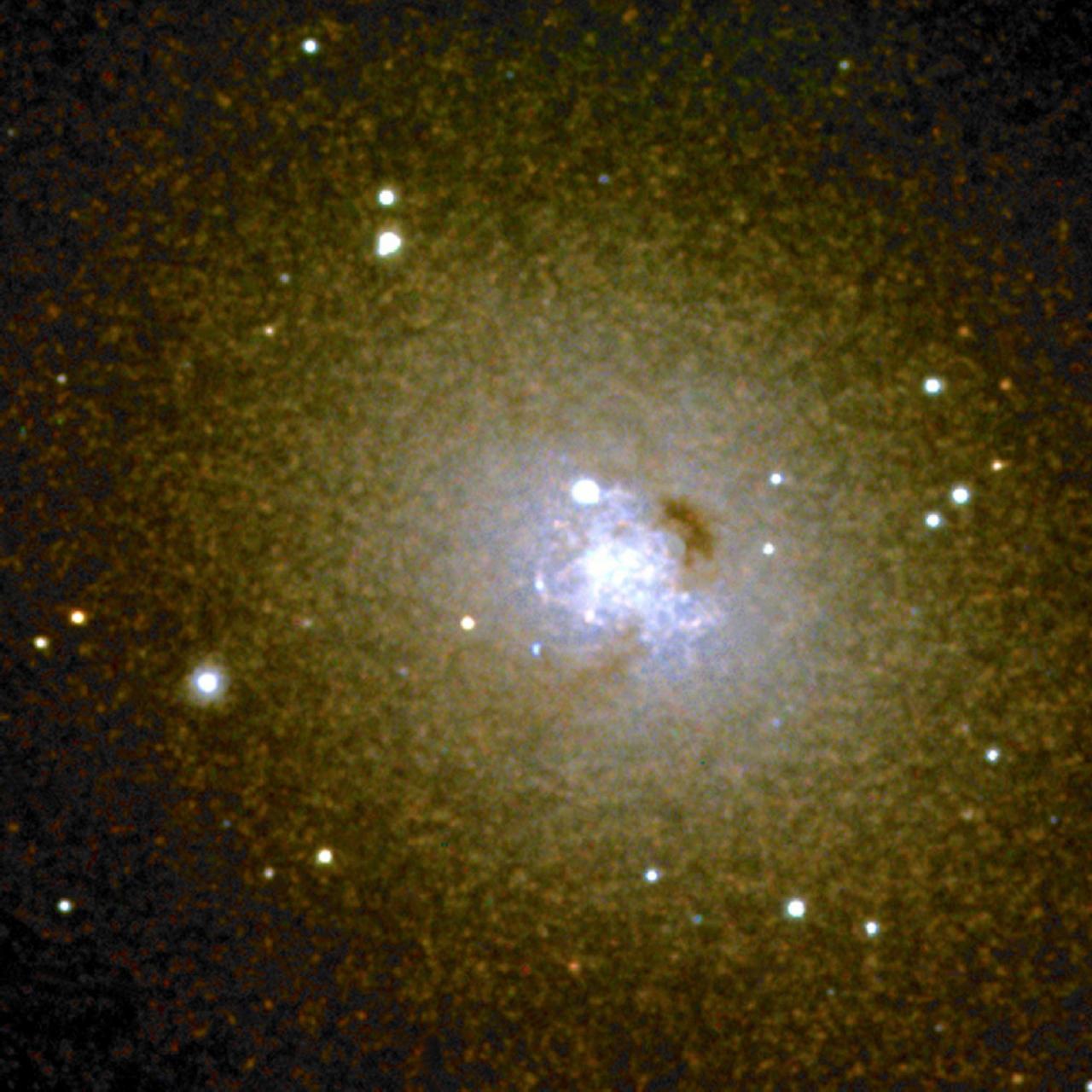 Elliptic Galaxy N185