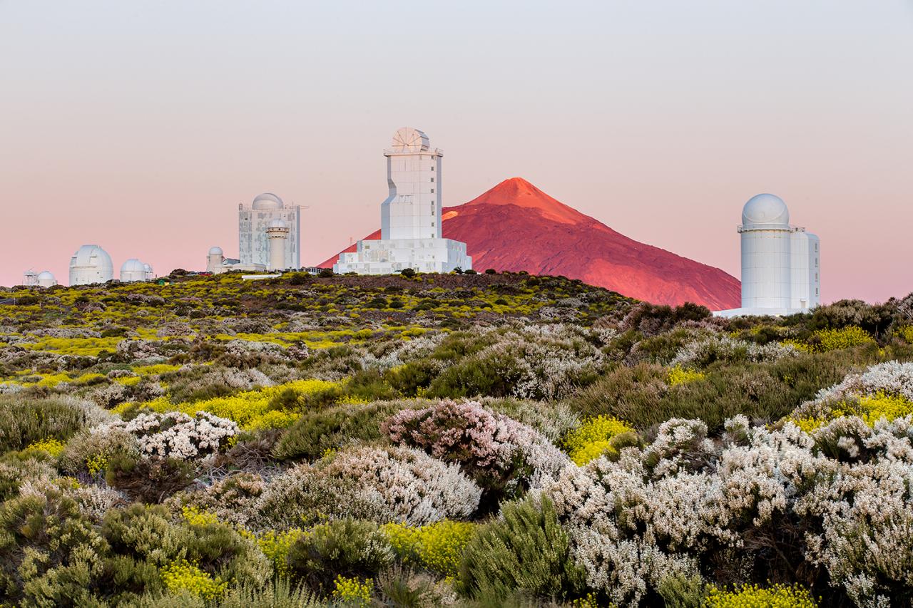 Spring at the Observatorio del Teide (Tenerife)