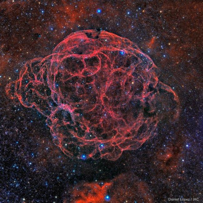 The Spaghetti Nebula, a new image by the IAC’s remote astrograph