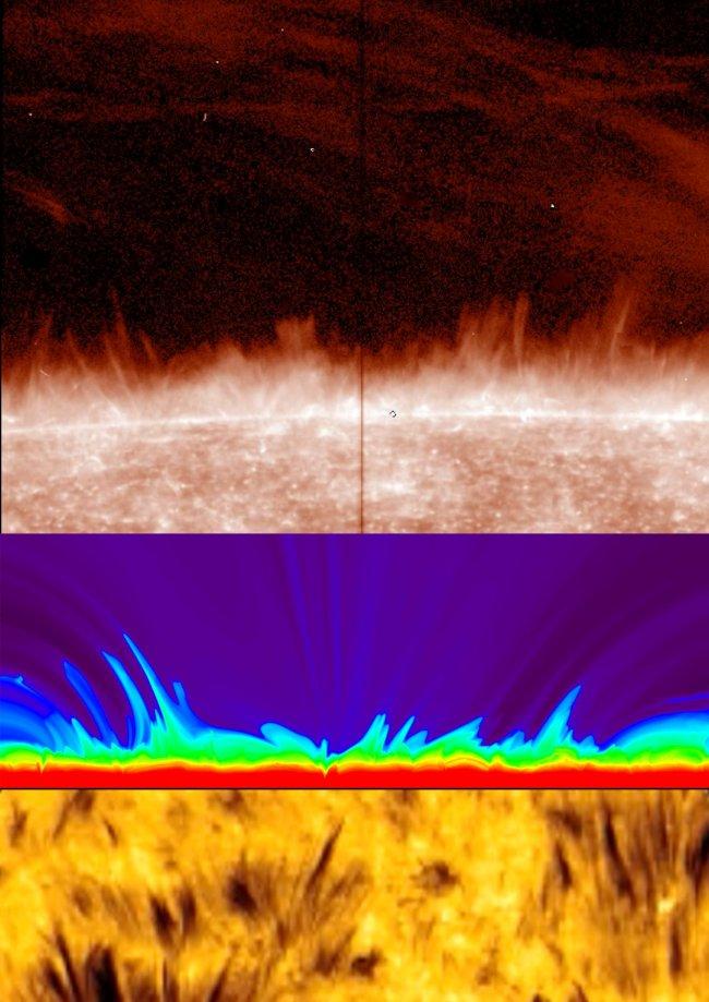 On the generation of solar spicules and Alfvenic waves