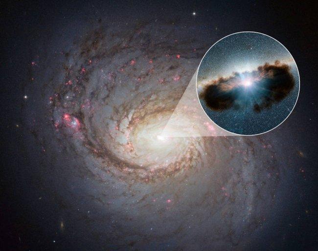 The material that obscures supermassive black holes, the connection with their host galaxies