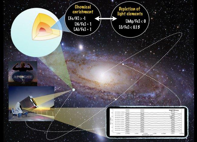 Discovered a new family of red giant stars with an unusual chemical composition in the Milky Way