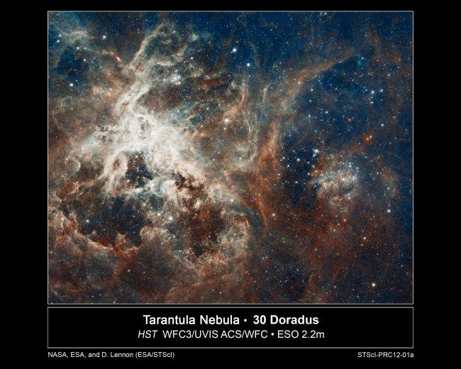Overabundance of massive stars in the Tarantula Nebula