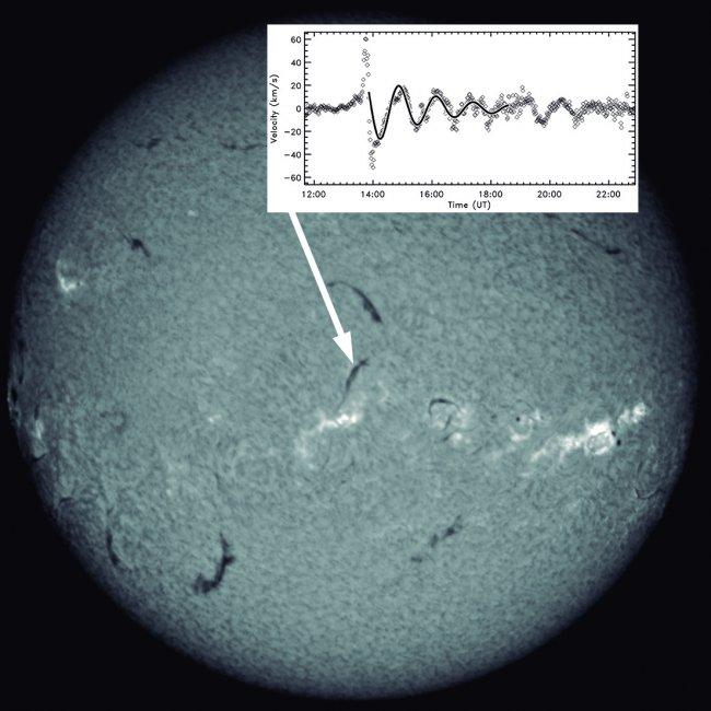 How solar prominences vibrate