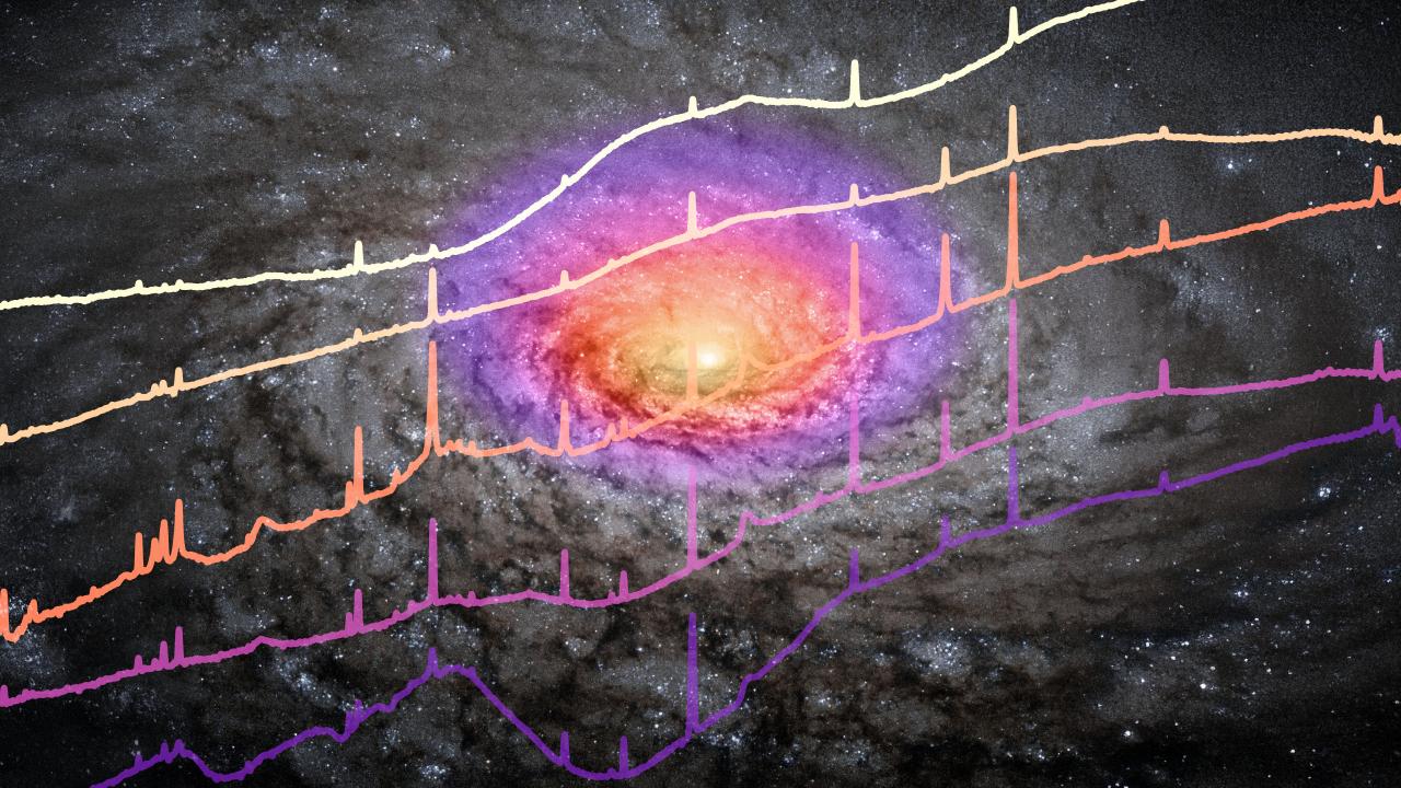 Espectros infrarrojos de la región central de cinco cuásares observados con el JWST 