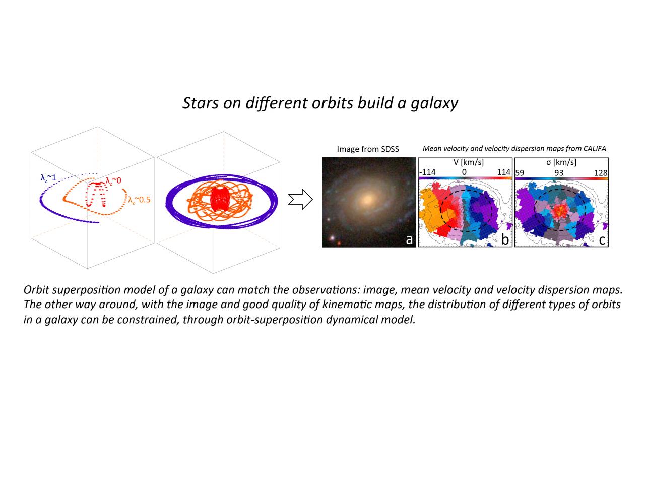 Estrellas en diferentes órbitas construyen una galaxia. 