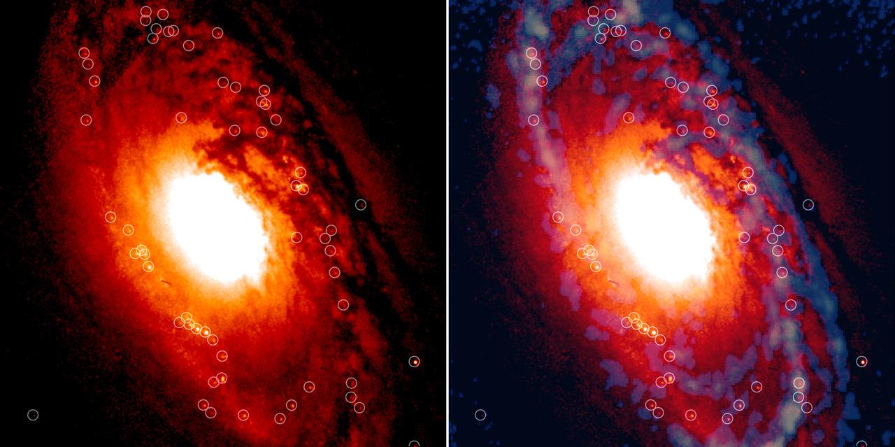 Region central de la galaxia anciana NGC 1386 donde donde miles de estrellas se están formando en cúmulos estelares