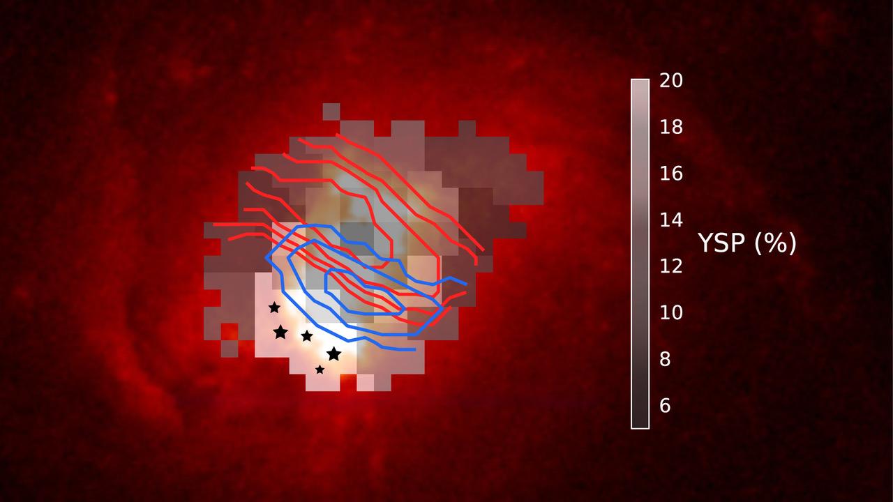 Winds launched by a supermassive black hole impact the formation of new stars in the galaxy Markarian 34