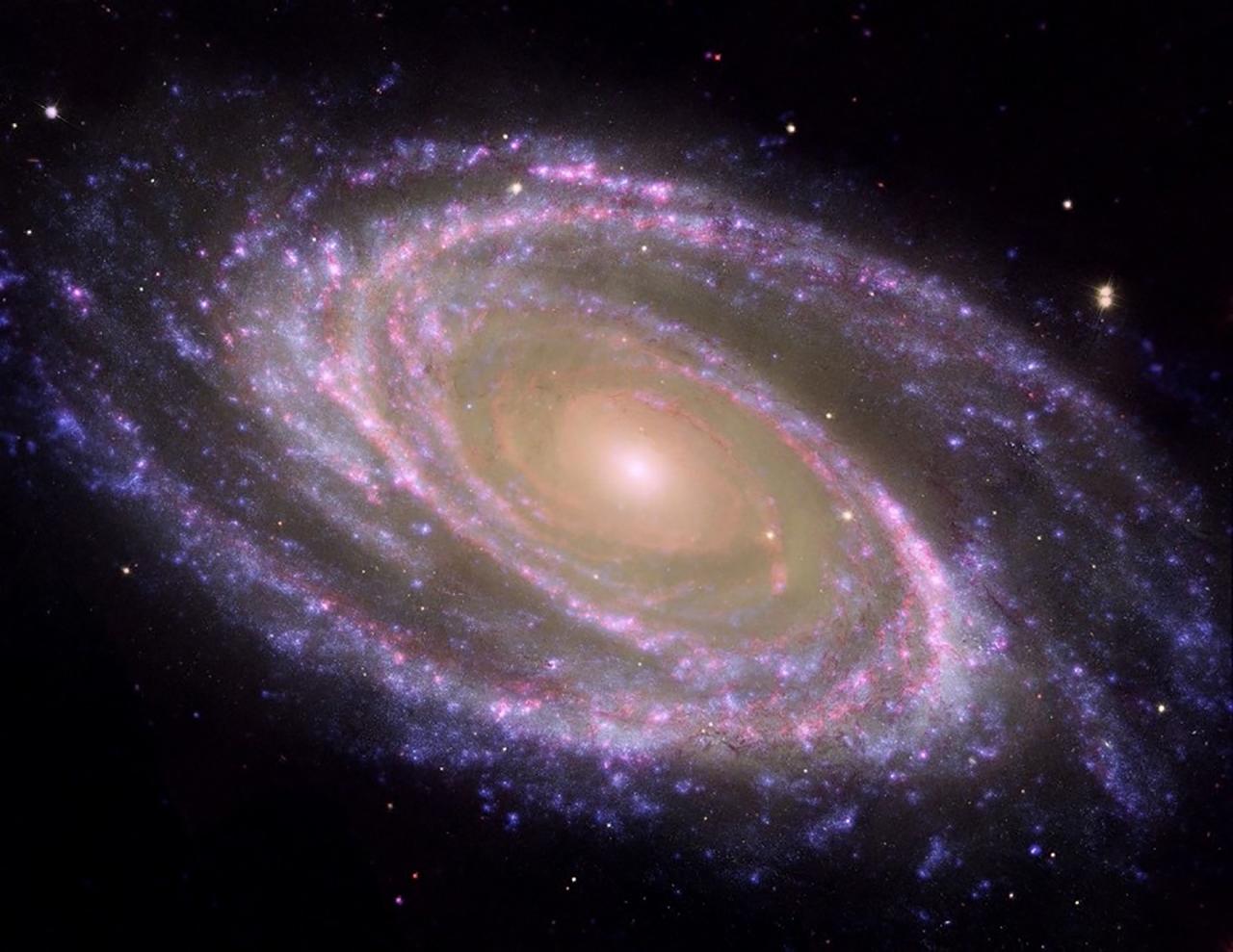 An example of a nearby spiral galaxy, M81, where the bulge is easily identified as the central redder part, and the disc, dotted with zones where stars are currently forming and appear as blue regions forming spiral arms. Credit: NASA/JPL-Caltech/ESA/Harvard-Smithsonian CfA.