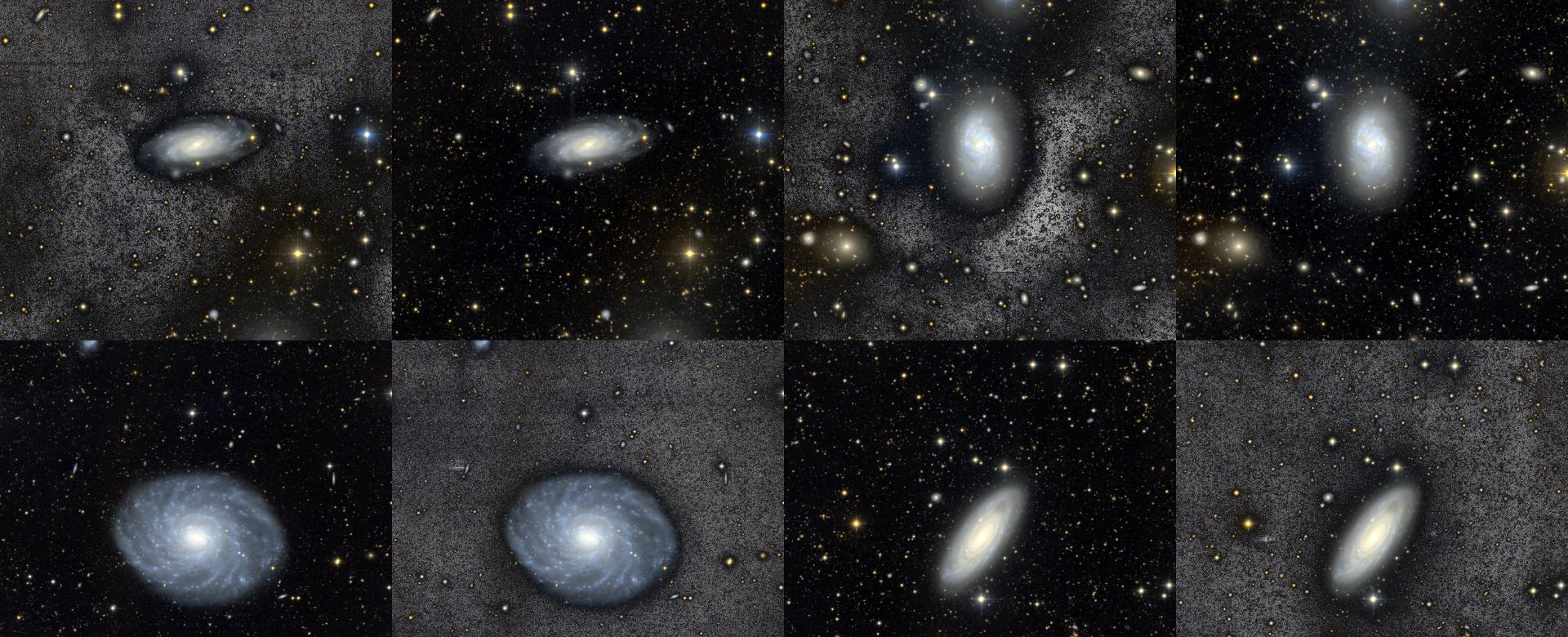 Milky Way-like galaxies from the BEARD project