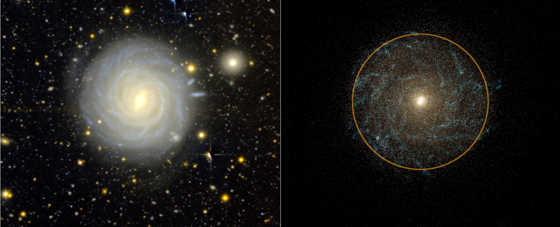 Comparison between an observed galaxy (right) and a simulated galaxy (left) showing similarities in mass and size.