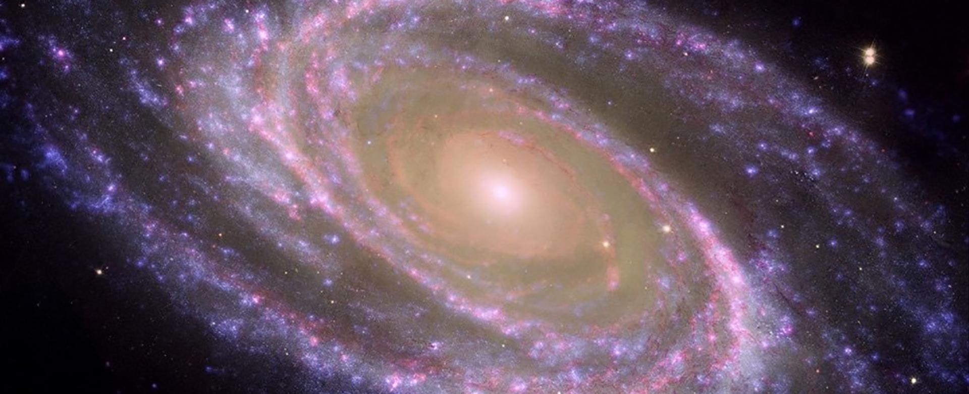 Ejemplo de galaxia espiral cercana, M81, donde se identifica fácilmente el bulbo, la parte central más rojiza, y el disco, plagado de zonas donde se forman estrellas actualmente y aparecen como regiones azules formando brazos espirales. Crédito: NASA/JPL-Caltech/ESA/Harvard-Smithsonian CfA. Ejemplo de galaxia espiral cercana, M81, donde se identifica fácilmente el bulbo, la parte central más rojiza, y el disco, plagado de zonas donde se forman estrellas actualmente y aparecen como regiones azules formando brazos espirales. Crédito: NASA/JPL-Caltech/ESA/Harvard-Smithsonian CfA.