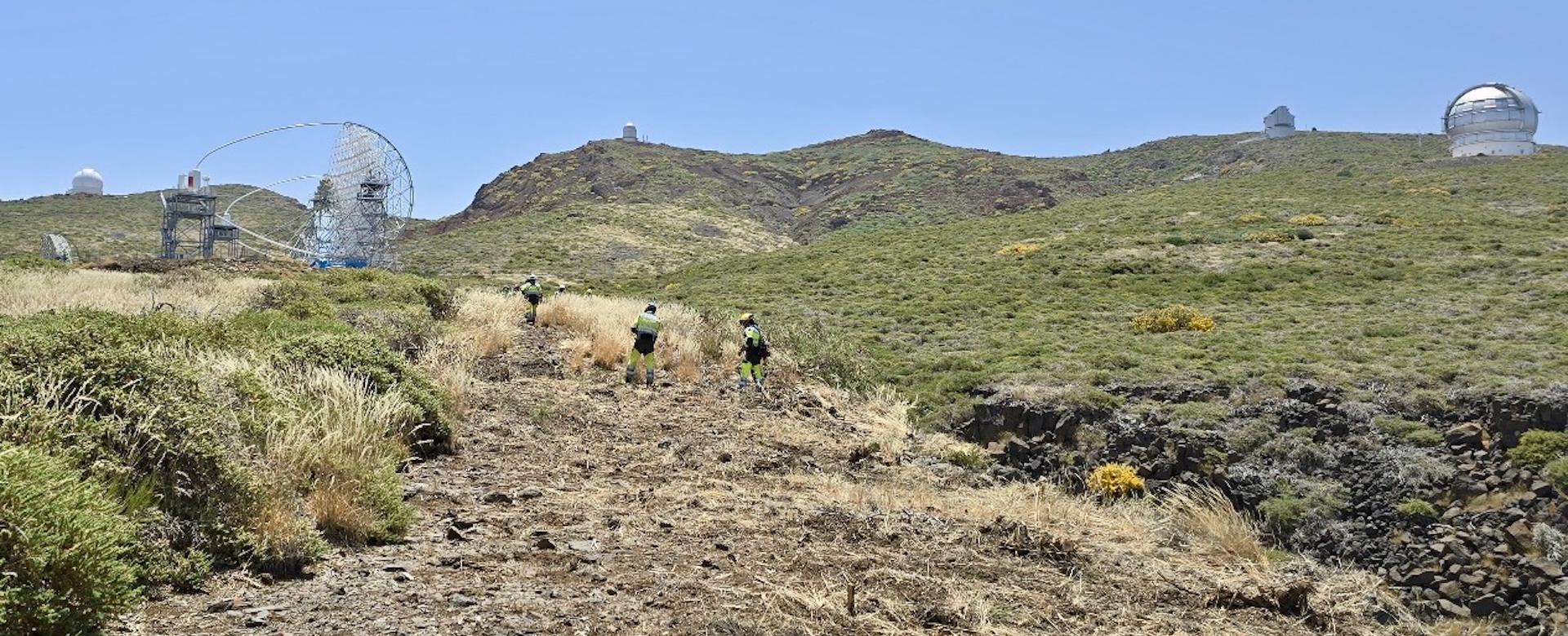 Técnicos de EIRIF cortan matorral para crear un área de cortafuego en las inmediaciones del Observatorio del Roque de los Muchachos, en La Palma Técnicos de EIRIF cortan matorral para crear un área de cortafuego en las inmediaciones del Observatorio del Roque de los Muchachos, en La Palma