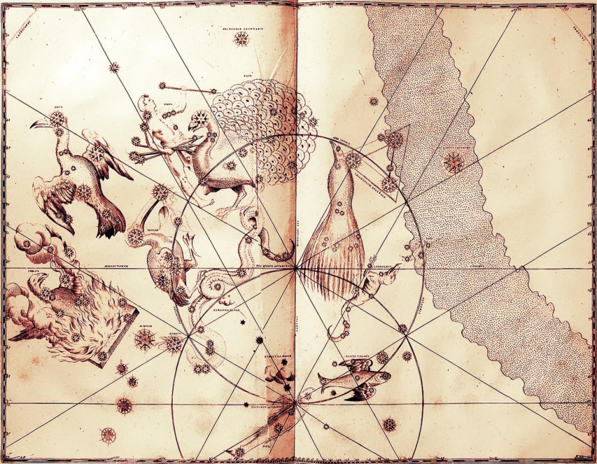 Grabado de Uranometría (edición de 1661) de Johannes Bayer con 12 nuevas constelaciones del hemisferio sur. Imagen cortesía del Departamento de Historia de la Ciencia de la Universidad de Oklahoma (EEUU).