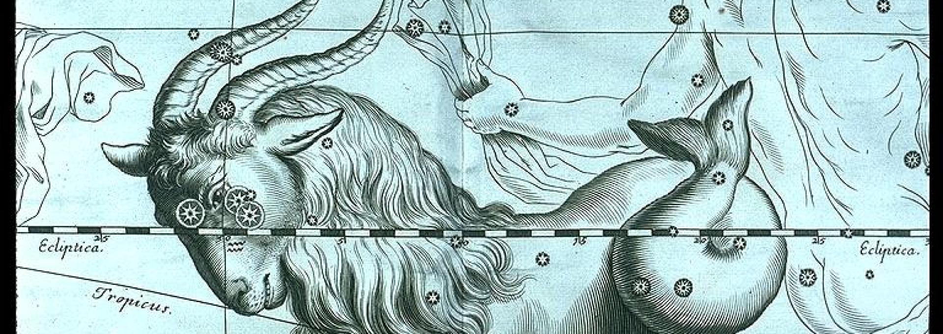 Constelación de Capricornus, del mapa Firmamentum Sobiescianum sive Uranographia (1690) del astrónomo Johannes Hevelius.