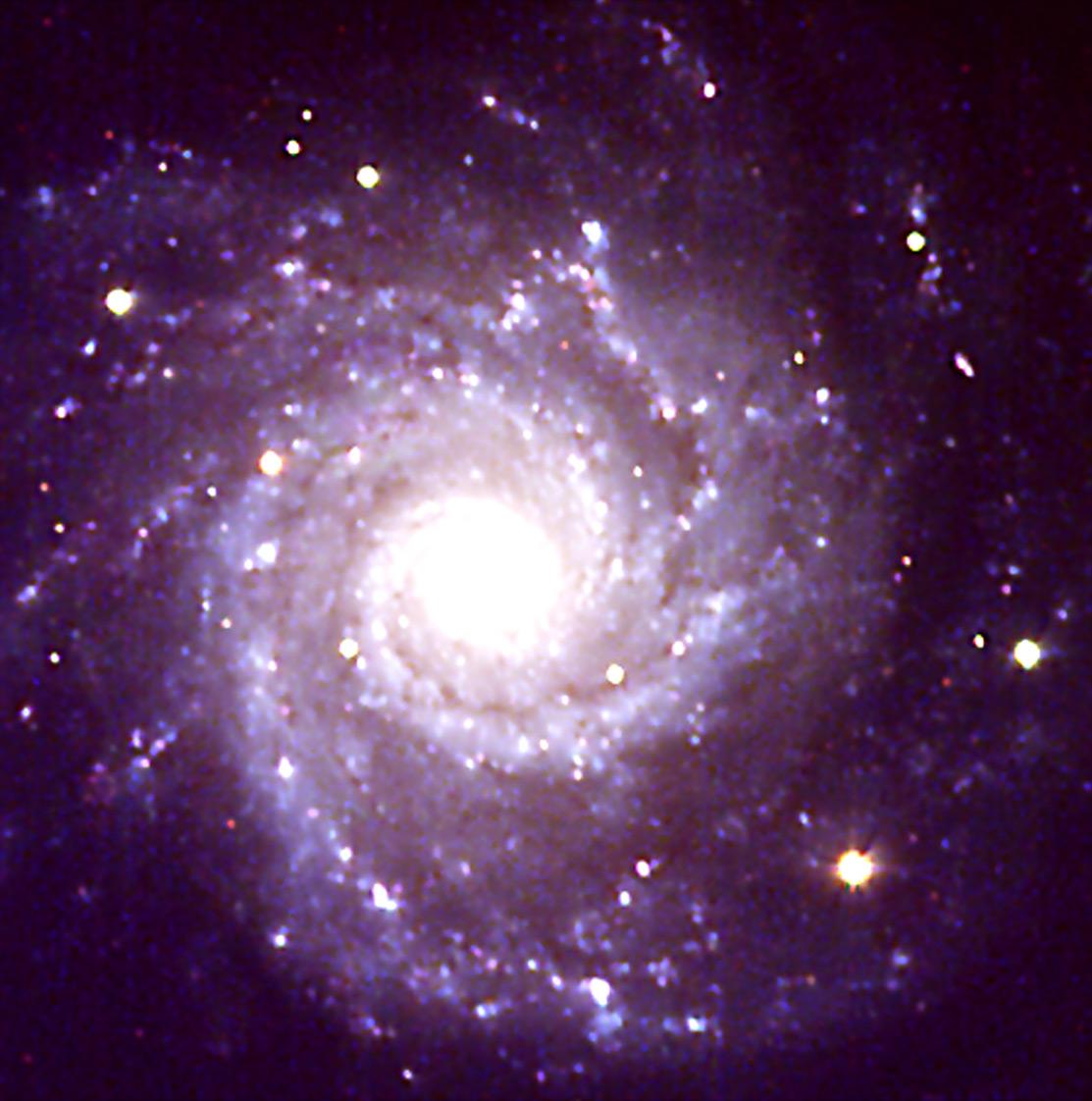 BIA_0051