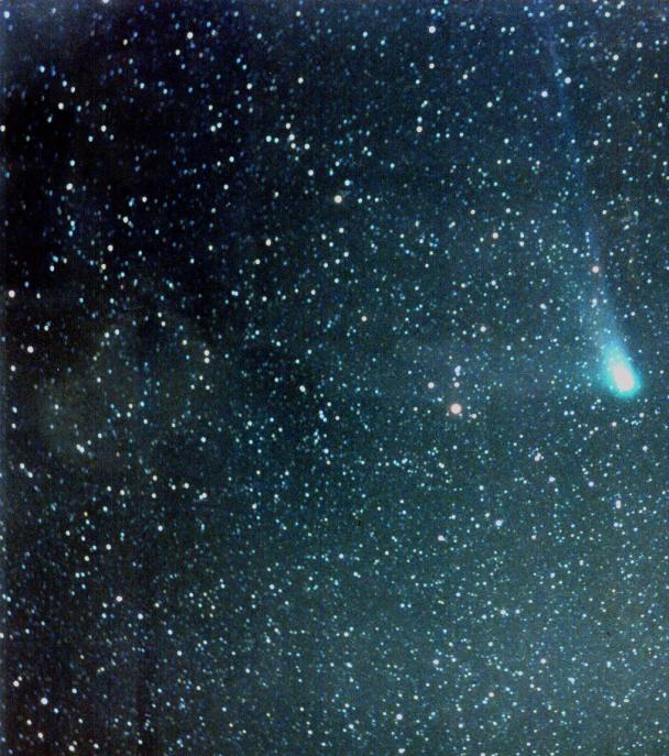 Q4 Neat Comet