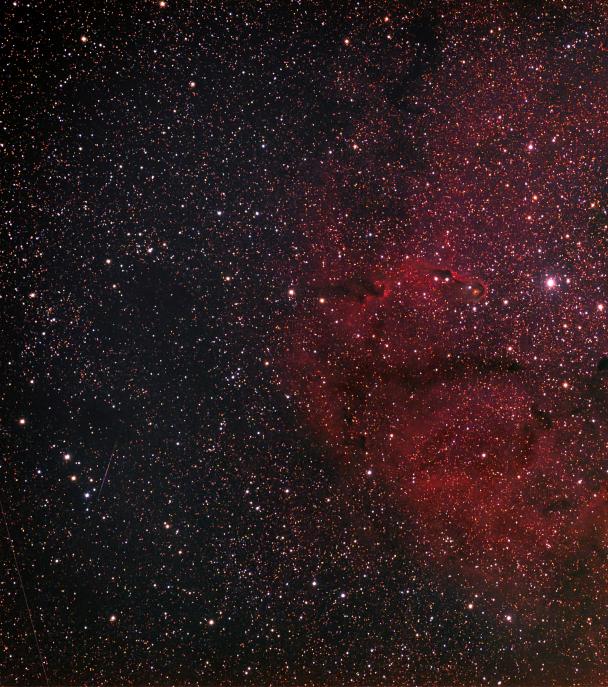 IC 1396 and the Elephant Trunk nebula