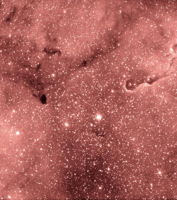 IC 1396 y la nebulosa Trompa de Elefante