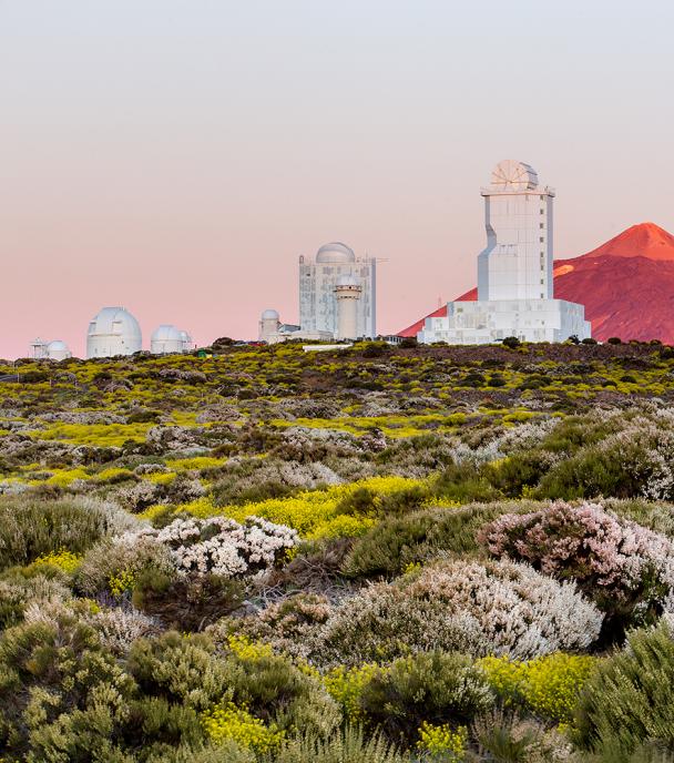 Spring at the Observatorio del Teide (Tenerife)