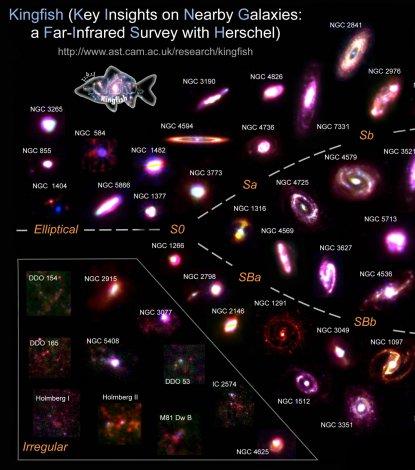 Tune your radio: galaxies sing when forming stars