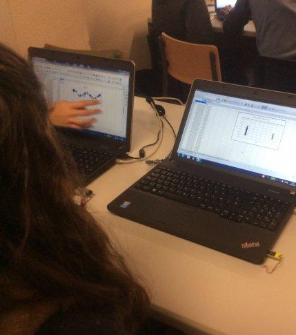 High School students in the Canary Islands discover two variable stars