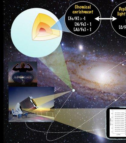 Descubierta una nueva familia de estrellas gigantes rojas con una extraña composición química en la Vía Láctea