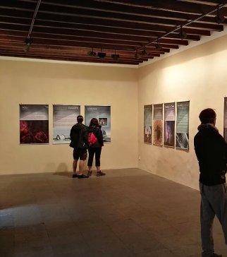 Presentación en La Palma de la exposición “FEDER, mirando el cielo”