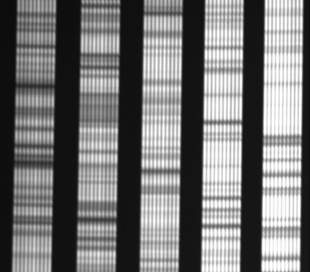 sky spectrum obtained with HORuS