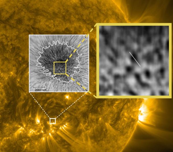 Magnetic waves in sunspot