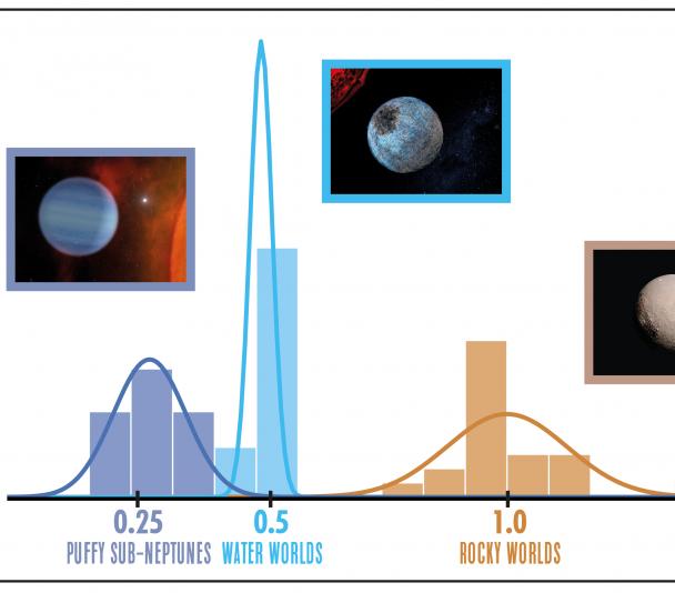 Distribución de densidades medias de los planetas entorno a estrellas M