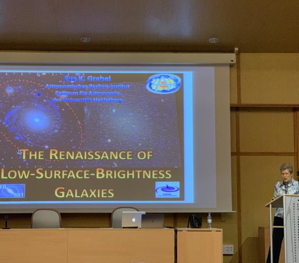 Eva K. Grebel during her speech, this morning, at the IAU Symposium 355