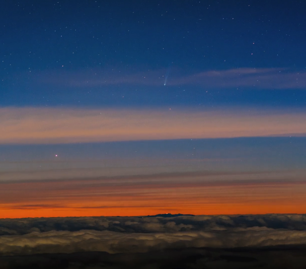 Cometa ISON