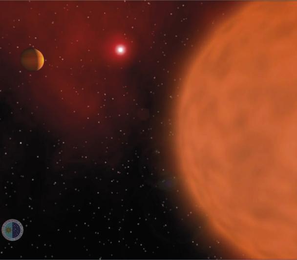 Brown dwarfs binay system