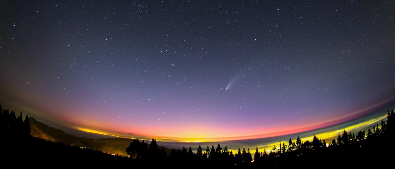 Cometa Neowise