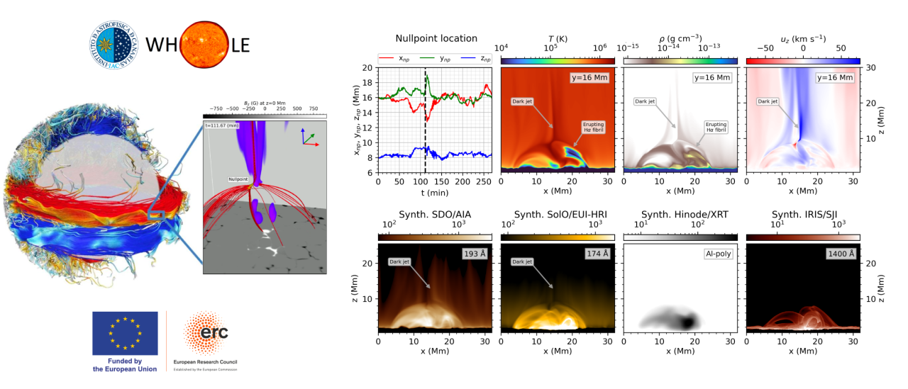 The Whole Sun logos and scientific results