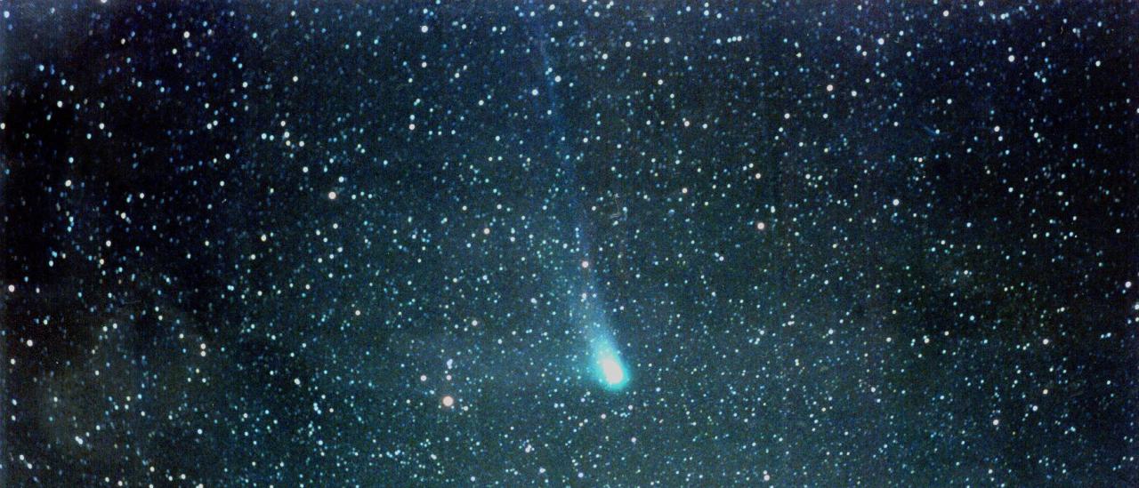 Q4 Neat Comet