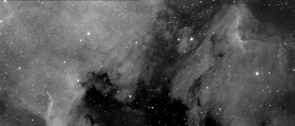 North America Nebula and Pelican Nebula