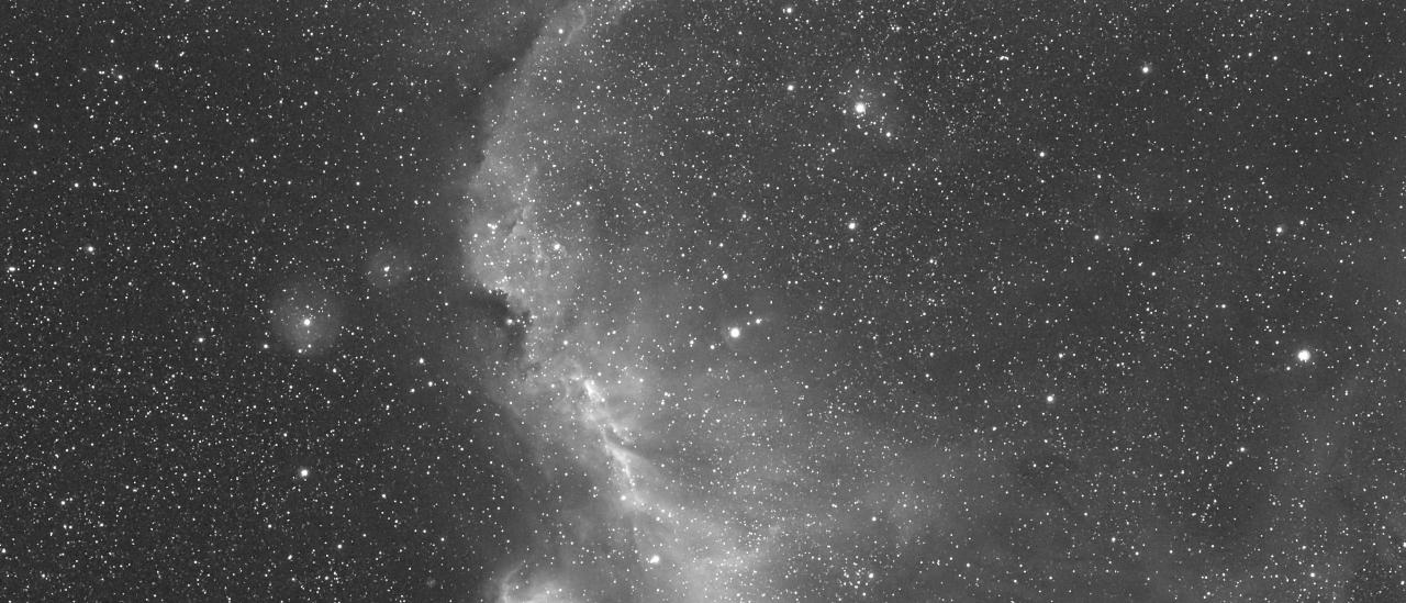 Seagull Nebula