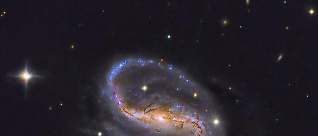 Barred spiral galaxy NGC 7479 located in the Pegasus constellation about 105 million light years and discovered in 1784 by the German astronomer William Herschel. Its central bar is highlighted and very luminous. Credit: Daniel López/IAC.