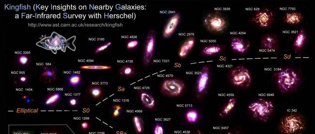The radio observations were based on the KINGFISH (“Key Insights on Nearby Galaxies: a Far-Infrared Survey with Herschel”) sample of galaxies. The compilation shows composite infrared images of these galaxies created from Spitzer (SINGS) and Herschel (KIN