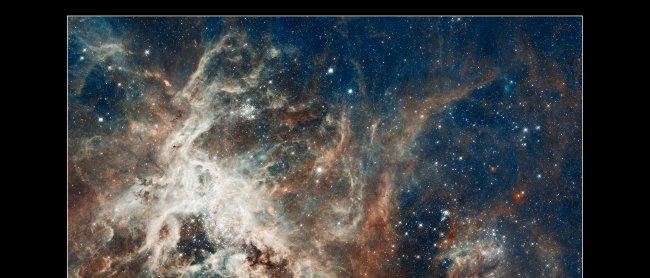 Overabundance of massive stars in the Tarantula Nebula